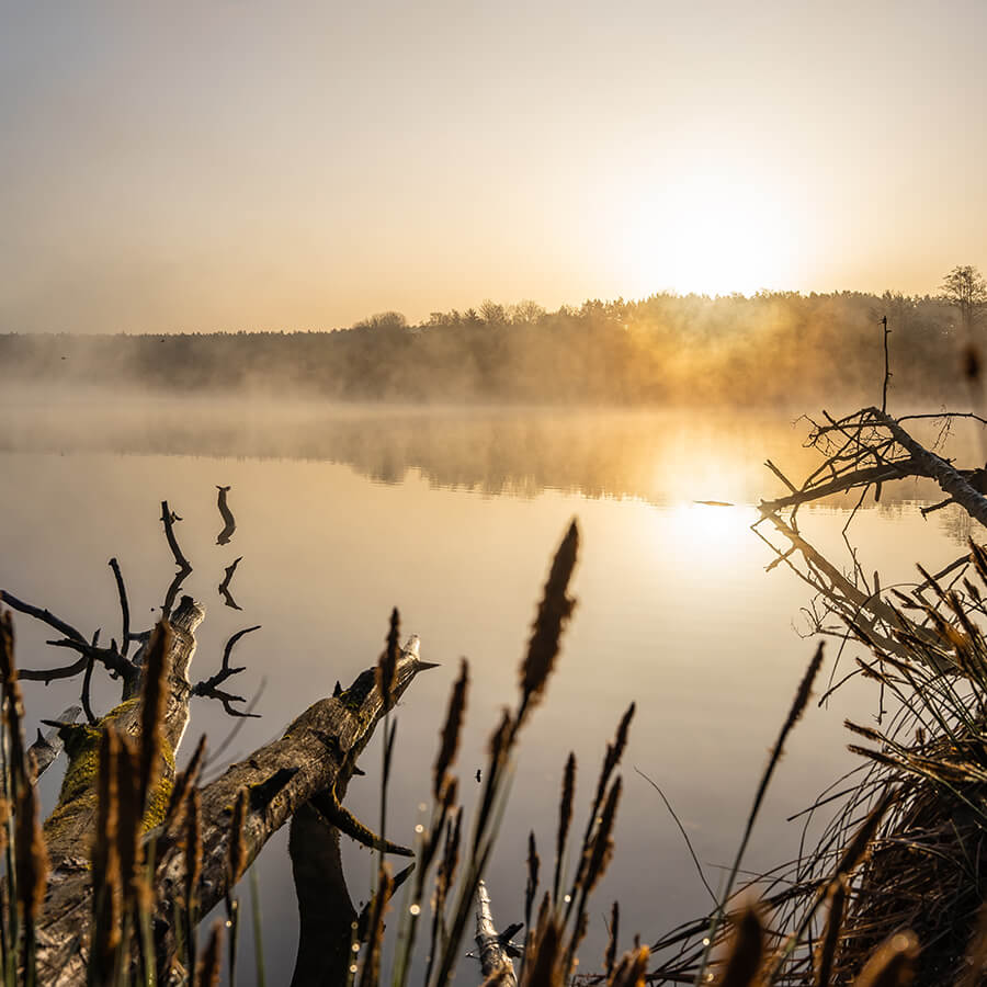 Craimoos-Weiher