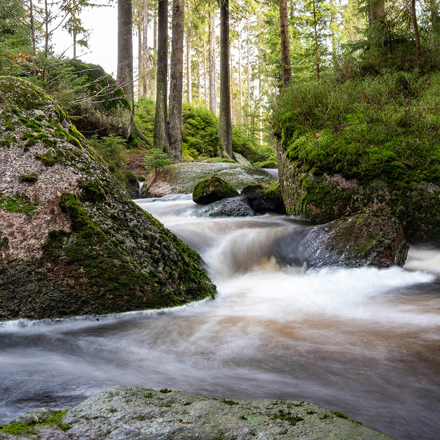 Naturpfad Oberes Weißmaintal