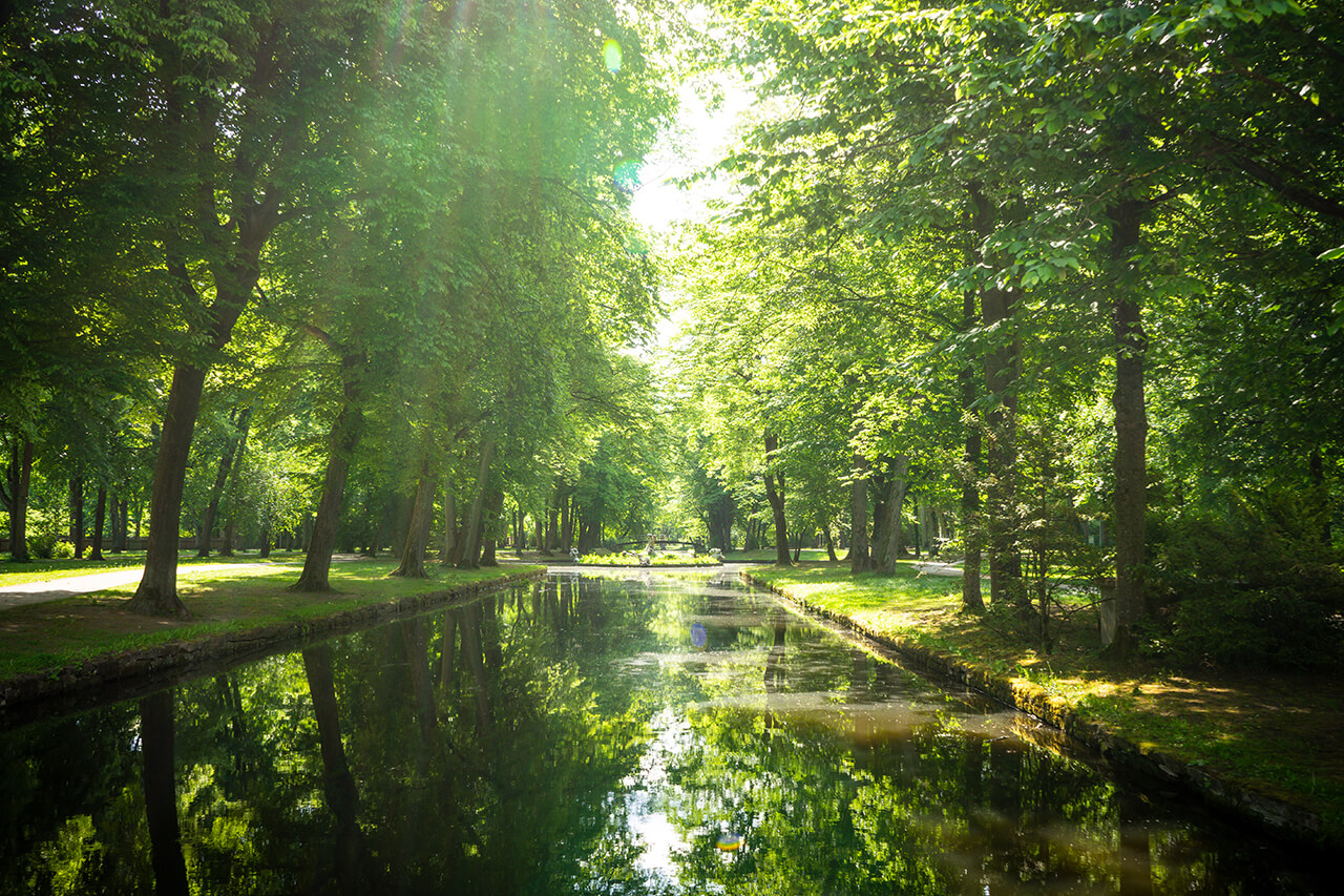 Der nahegelegene Hofgarten ist ideal für ausgedehnte Spaziertgänge